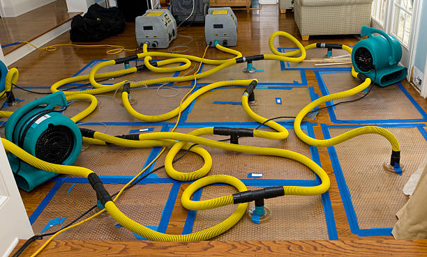 Professional Structural Drying And Dehumidification technician working in Crescent, PA